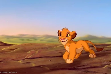 Simba   Simba Image (21746155)   Fanpop