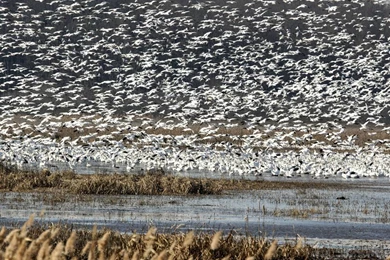 85 smyrna delaware adventure towns_25201_990x742.jpg