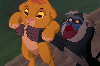 Cartoons Disney Company Simba The Lion King Rafiki Wallpapers ...