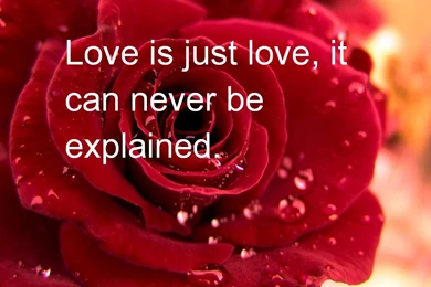 Valentine Day Quotes HD Wallpapers