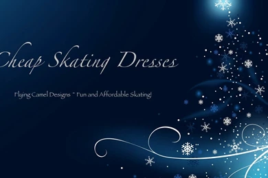 Cheap Skating Dresses