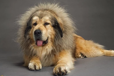 Photography   Desktop Wallpapers   National Geographic Magazine