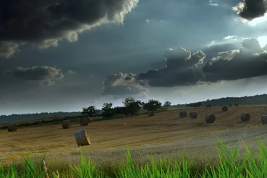 Nature Exclusive Wallpapers