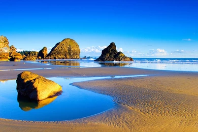 Gorgeous HD Wallpapers Nature Free Download