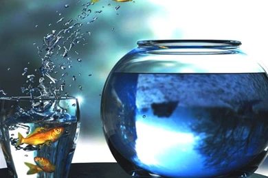 Quick Steps To Use Your Own Video Wallpapers On Android Mobile