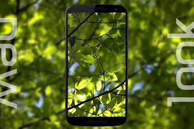 Free Spring Video Wallpapers For Android Smartphones And Tablets ...