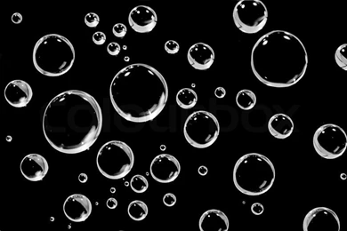 Water Droplets On A Black Backgrounds