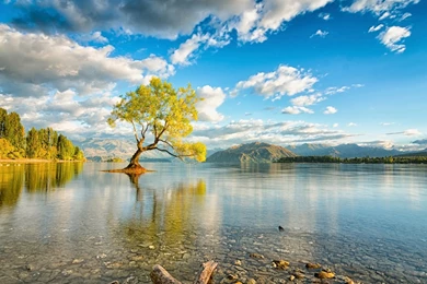 Laptop 1366x768 New Zealand Wallpapers HD, Desktop Backgrounds ...