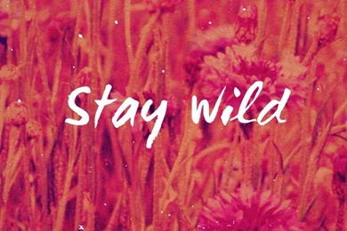 Stay Wild   iPhone Wallpapers @mobile9