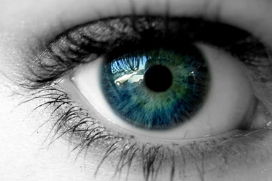 Blue Eyes Wild Screen HD Wallpapers
