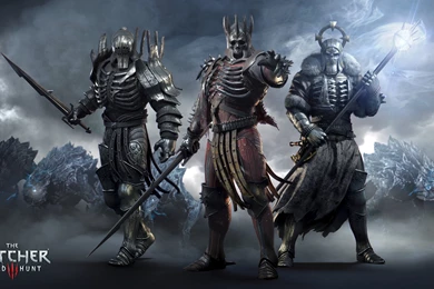 The Witcher 3 Wild Hunt Generals Uhd Wallpapers   Ultra High ...