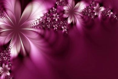 Wallpapers Of Flowers Free Download