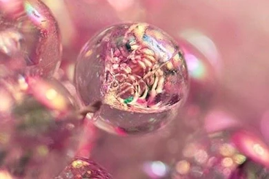 Adorable, Bubbles, Colors, Cute   Image