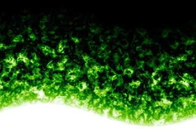 Abstract Green Flames By Pluberus On DeviantArt