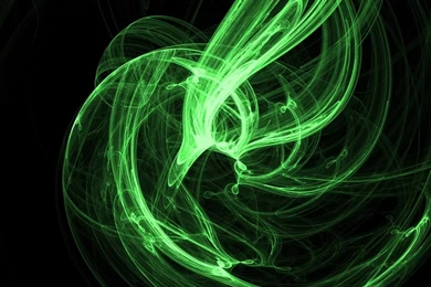 Green Flame I Gentoo Med Gimp Pictures, Images & Photos