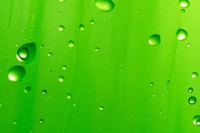 Green Drops iPhone 5s Wallpapers Download