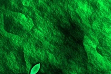 Computer Cell Phone Wallpapers Hd Mobile Wallpapers