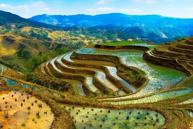 Good Desktop Backgrounds   Wallpapers Cave