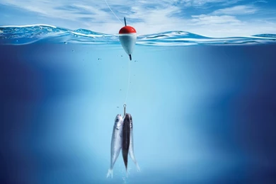 Desktop Wallpapers · Gallery · Computers · Good Bait