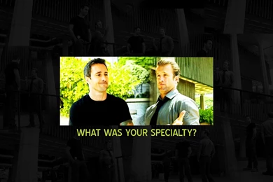 Hawaii Five 0   Hawaii Five 0 (2010) Wallpapers (19096470)   Fanpop