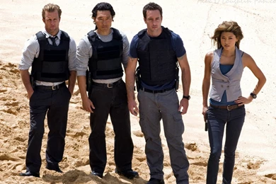 Written By Deb: TV Do Over Blog Hop, The Hawaii Five 0 Edition