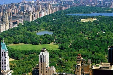 Wallpapers New York Central Park City Free Hd Images 1920x1080 ...