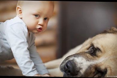 Cute Baby Wallpapers Desktop   4 Items