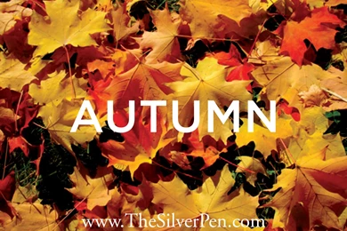 Autumn Fun Quotes. QuotesGram