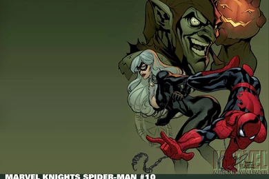 Green Goblin Black Cat Wallpapers At Wallpaperist