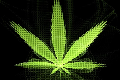 Marijuana 420 Weed Mary Jane Drugs Neon Wallpapers
