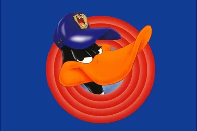 Daffy Duck   Warner Brothers Animation Wallpapers (71671)   Fanpop