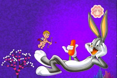 Bunny   Warner Brothers Animation Wallpapers (35427381)   Fanpop