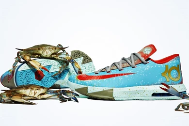Nike KD VI "Maryland Blue Crab"   SneakerNews.com