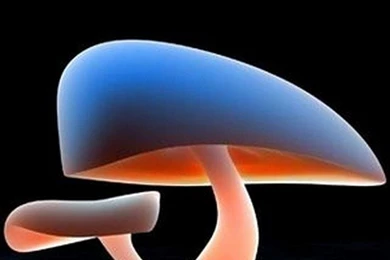 15 Best HD Live Wallpapers For Android Phones And Tablets   6 ...