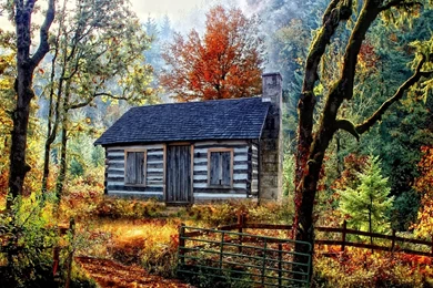 Forest House HD Wallpapers ~ Toptenpack.com
