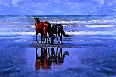 Horses: Loving Couple Beaches Reflection Horses Blue Ocean Wave ...