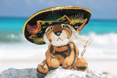 File:Stuffed Tiger Wearing A Sombrero.jpg   Wikimedia Commons