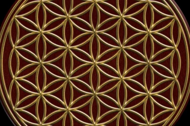 Flower Of Life   (