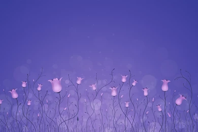 Flower Of Life Wallpapers And Images   Wallpapers, Pictures, Photos