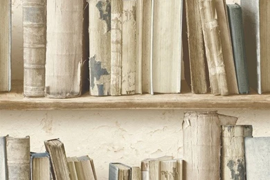 Rustic Contemporary Navy Blue, Let's Read Bookshelf Wallpapers ...