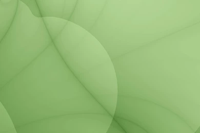 PLAIN GREEN WALLPAPER (