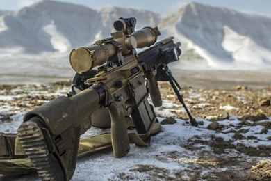 Army Hk417deserts Guns Sniper Rifles