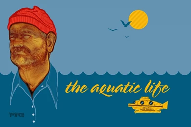 The Life Aquatic With Steve Zissou Computer Wallpapers, Desktop ...