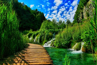 Some Pictures Of Nature These Pictures A Not Edited By Photoshop ...