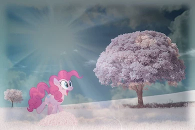 Pinkie Pie   Cotton Candy Fields Wallpapers By IceCreamFondue On ...