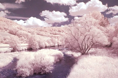 Cotton Candy Land By Xtarfizh On DeviantArt