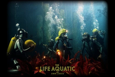 The Life Aquatic WP By AlCozzi On DeviantArt
