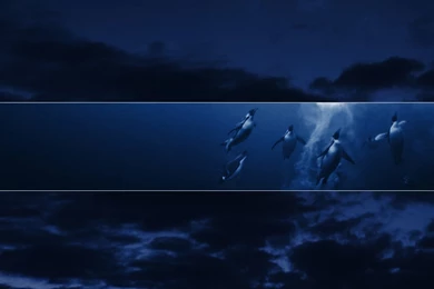 Discounted Wallpapers   Wallpapers HD Fine