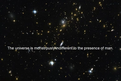 Reason & Aether: Demotivational And Nihilistic Werner Herzog ...