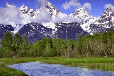 Full Hd Nature Wallpapers Free Downloads For Laptop Wallpapers